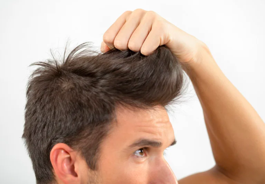 captura de pantalla 2026 01 26 a la(s) 7.38.41